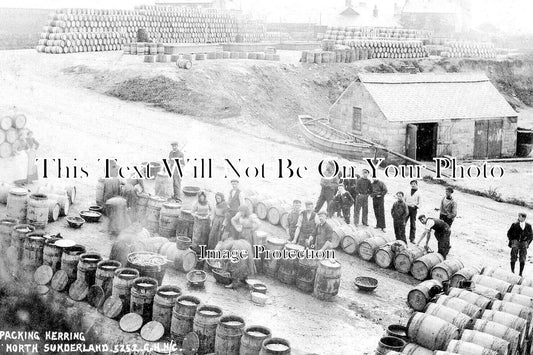 NO 2186 - Packing Herring, North Sunderland, Berwick Upon Tweed c1908
