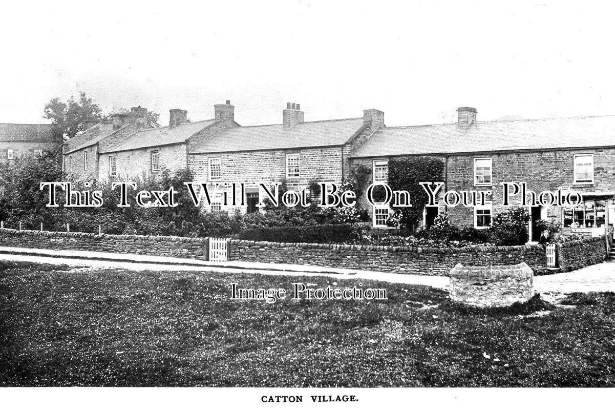 NO 2198 - Catton Village, Allendale, Hexham, Northumberland c1913