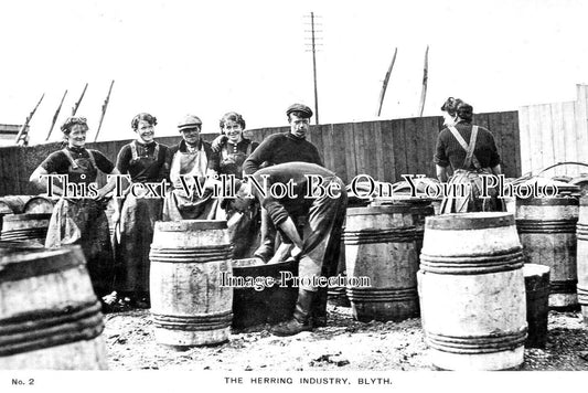 NO 2230 - The Herring Industry, Blyth, Northumberland c1912