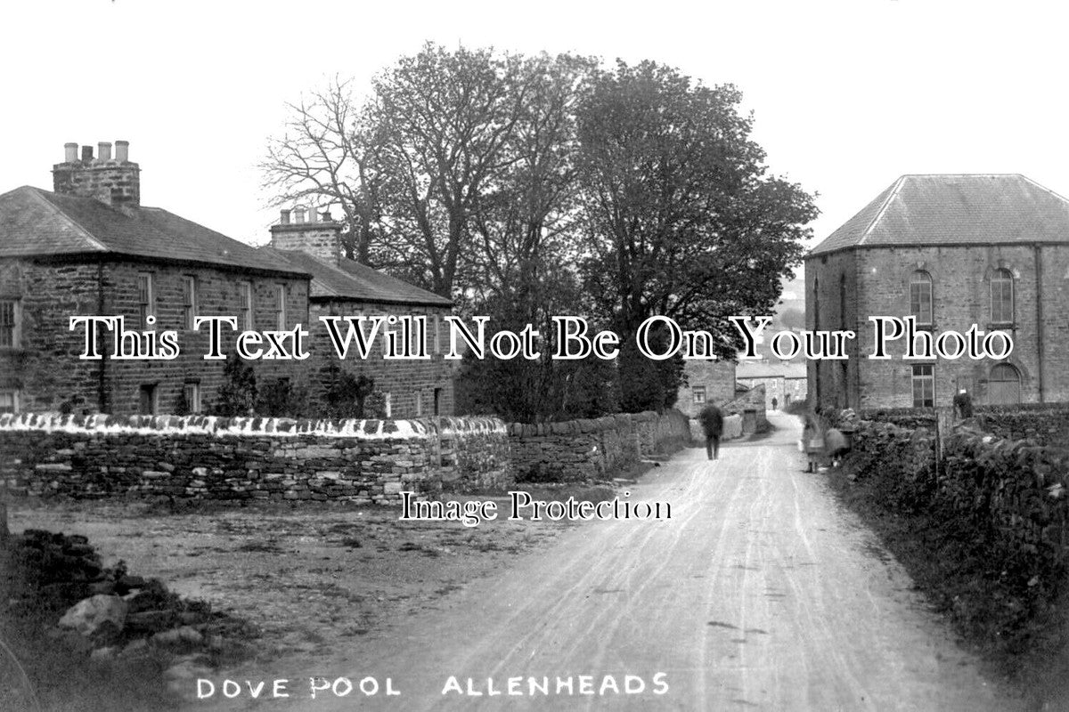 NO 2300 - Dovepool, Allenheads, Northumberland c1925