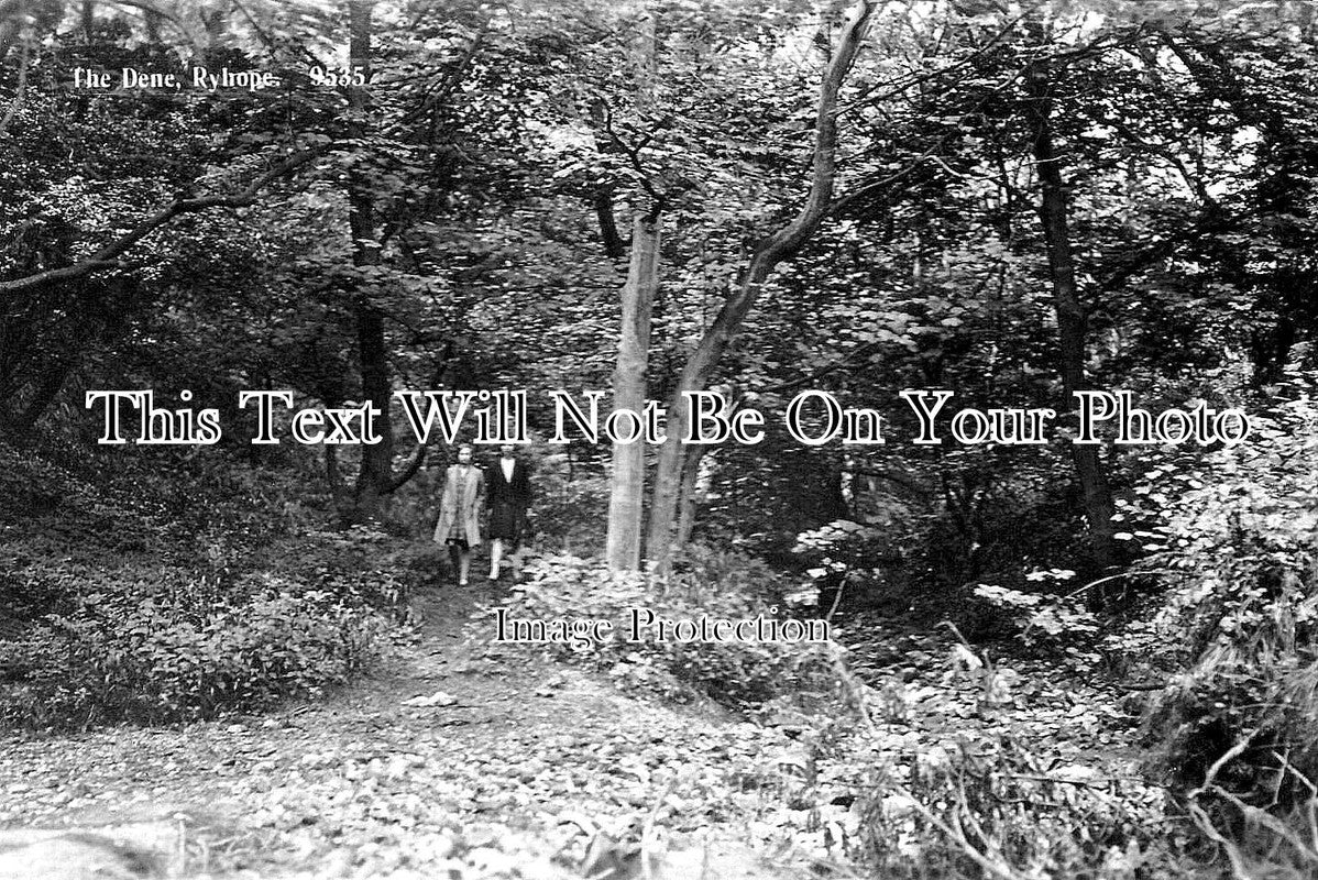 NO 2381 - The Dene, Ryhope, Sunderland, Tyne & Wear