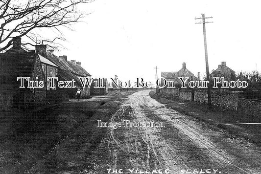 NO 2432 - Slaley, Hexham, Northumberland