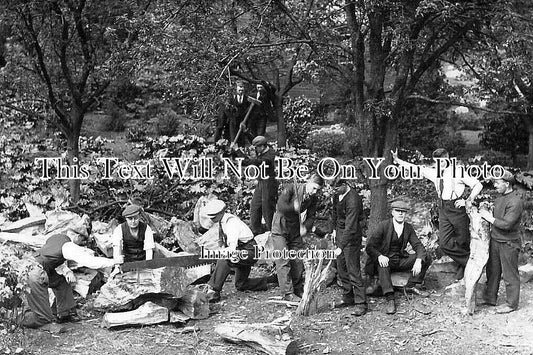NO 2439 - Workmen Logging Timber, Northumberland