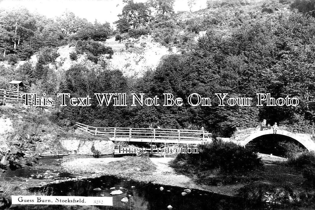 NO 2445 - Guess Burn, Stocksfield, Northumberland