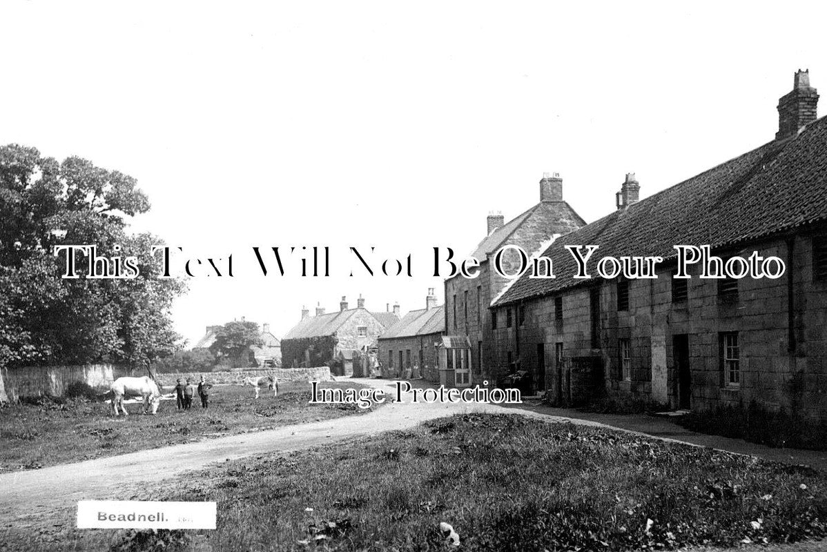 NO 2478 - Beadnell, Northumberland