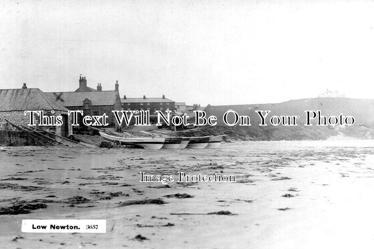 NO 2580 - Low Newton Near Alnwick, Northumberland