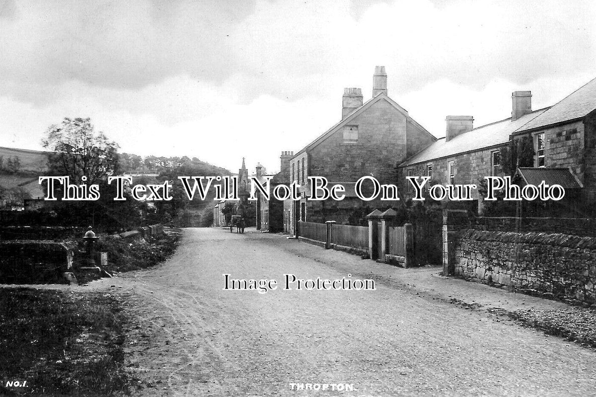 NO 2605 - Thropton, Northumberland