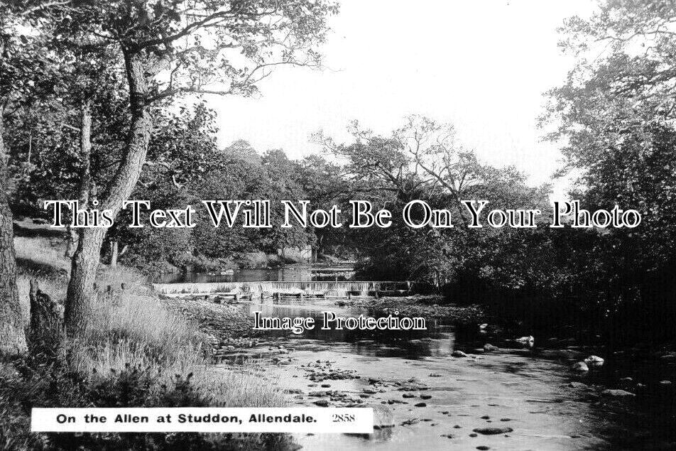 NO 2606 - On The Allen, Studdon, Allendale, Northumberland c1922