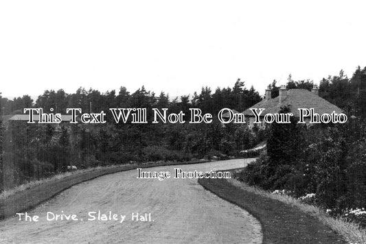 NO 2714 - The Drive, Slaley Hall, Northumberland