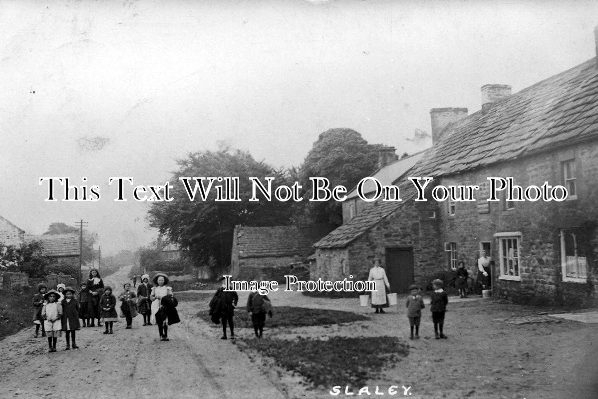 NO 273 - Slaley, Northumberland