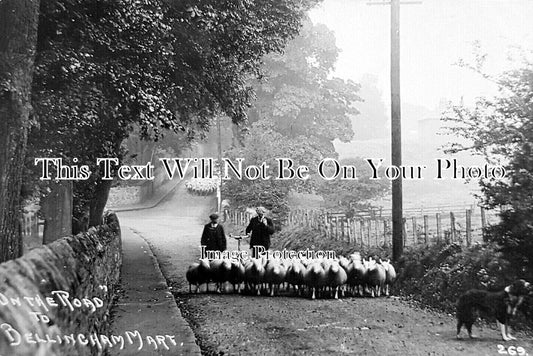 NO 2748 - On The Road To Bellingham Mart, Northumberland