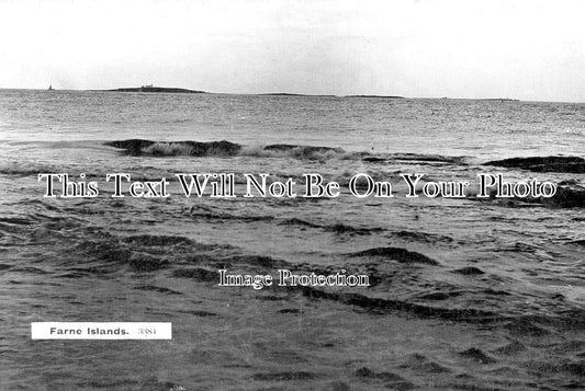 NO 2751 - Farne Islands, Northumberland