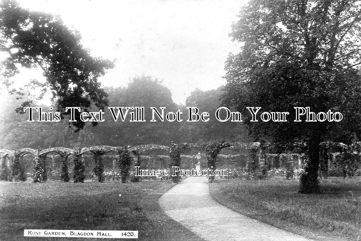 NO 2792 - Rose Garden, Blagdon Hall, Northumberland