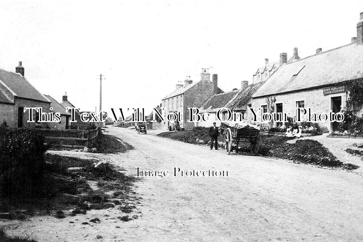 NO 2805 - Wark, Northumberland