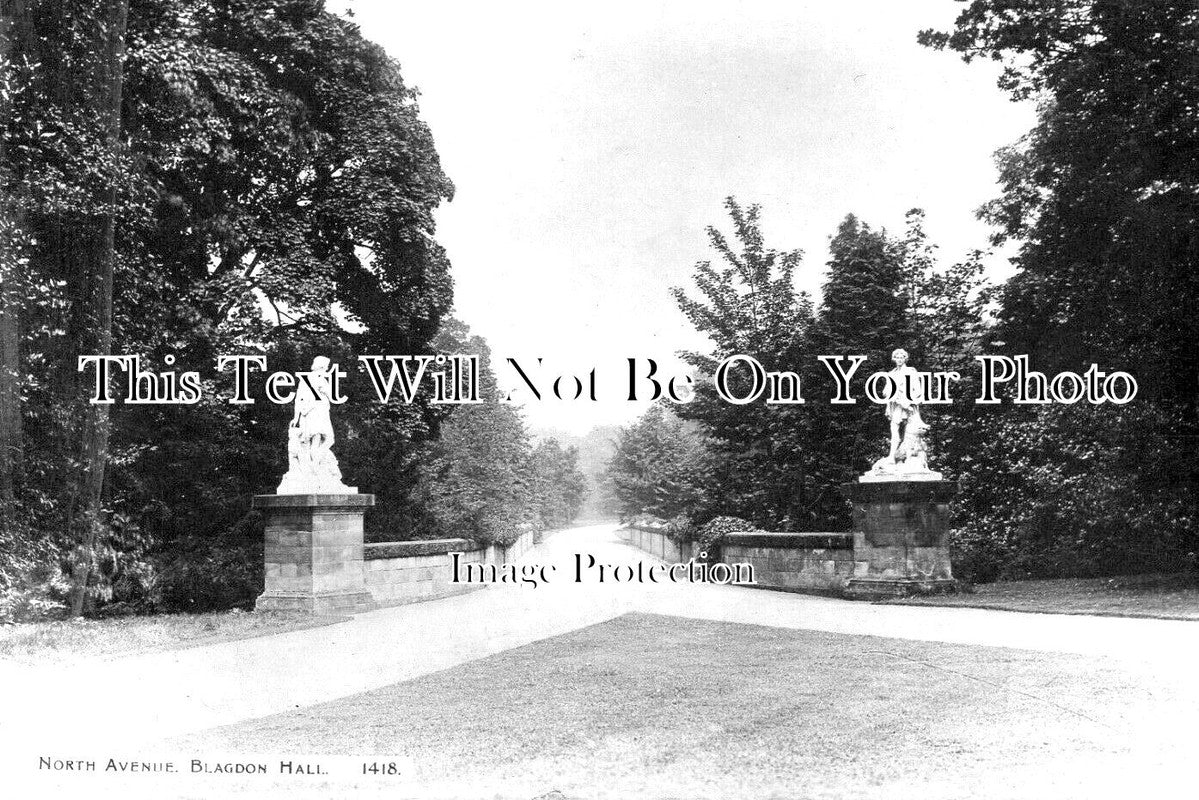 NO 2817 - North Avenue, Blagdon Hall, Northumberland
