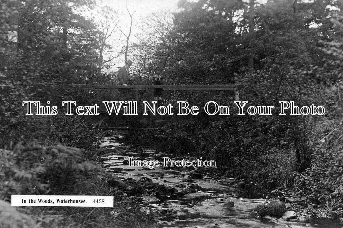 NO 2820 - In The Woods, Waterhouses, Northumberland