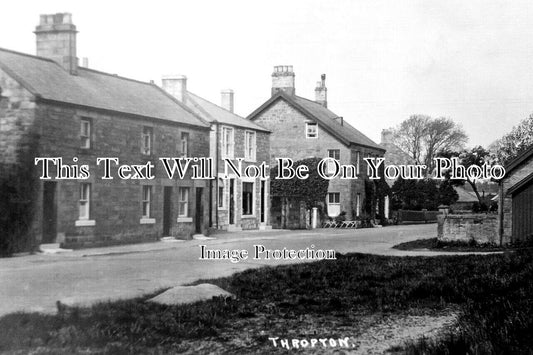 NO 2863 - Thropton, Northumberland