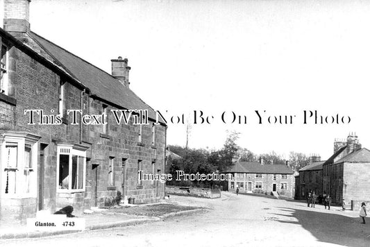 NO 2895 - Glanton, Northumberland