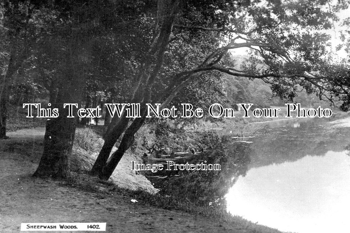 NO 2909 - Sheepwash Woods, Northumberland