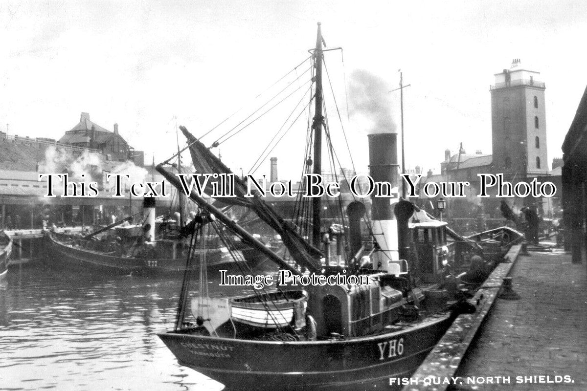 NO 2911 - Fish Quay, North Shields, Newcastle Upon Tyne, Northumberland