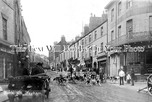 NO 2948 - Battle Hill, Hexham, Northumberland