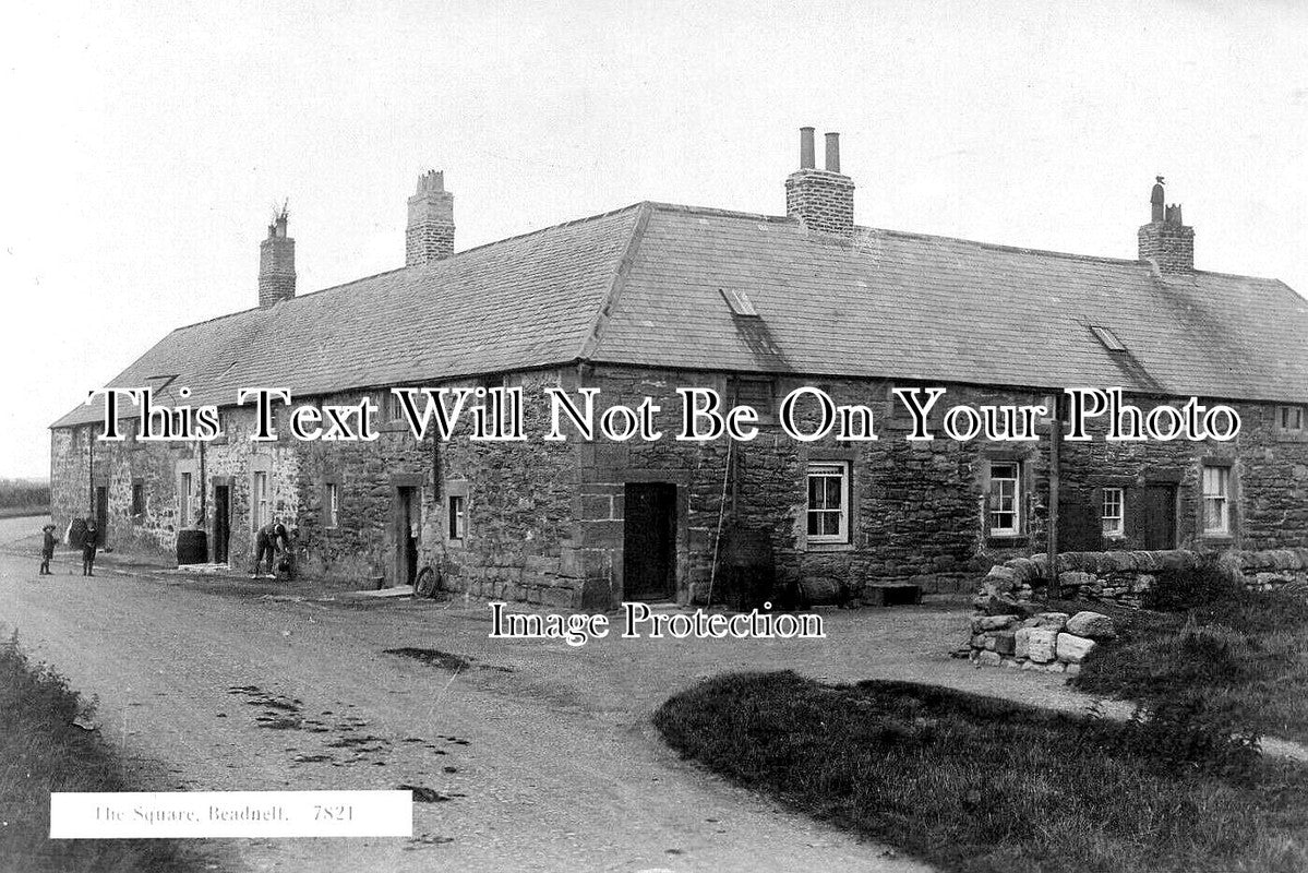 NO 2953 - The Square, Beadnell, Northumberland