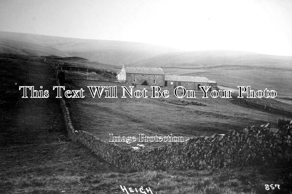 NO 2967 - Heigh Farmstead, Hexhamshire, Northumberland