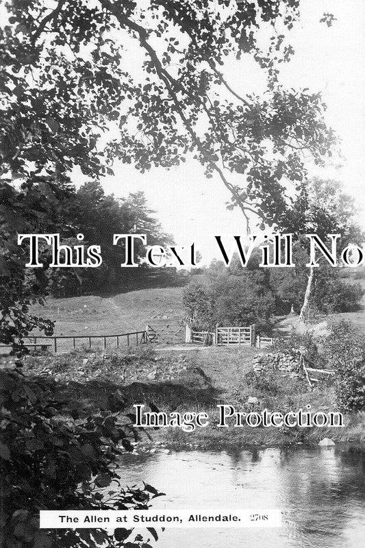 NO 3020 - The Allen At Studdon, Allendale, Northumberland