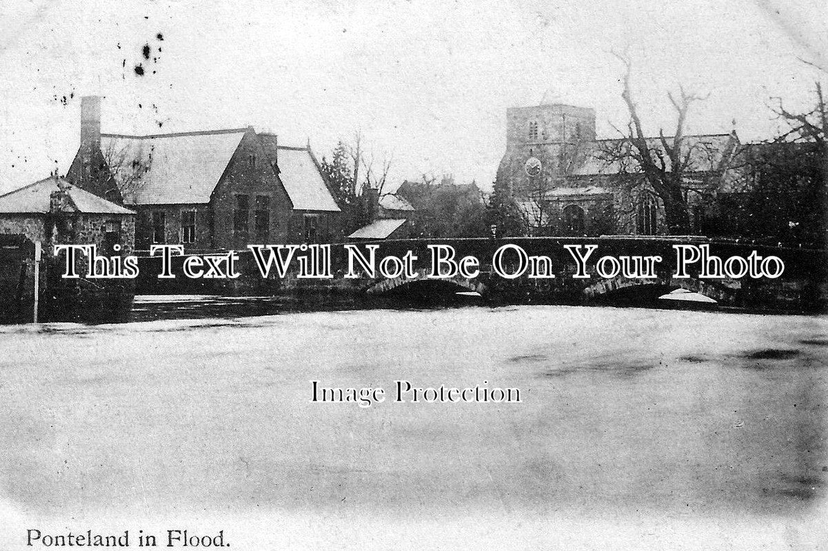 NO 354 - Ponteland In Flood, Northumberland 1904
