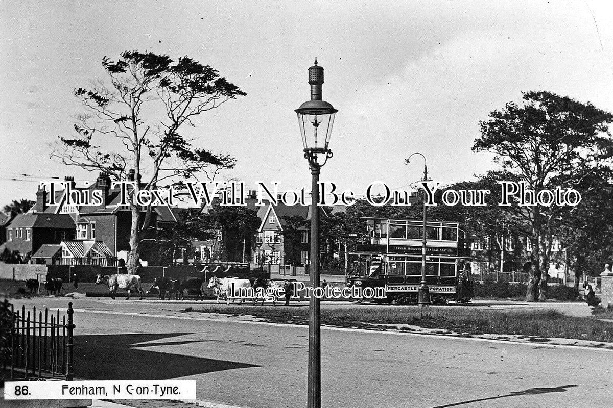 NO 420 - Fenham, Newcastle On Tyne, Northumberland c1909