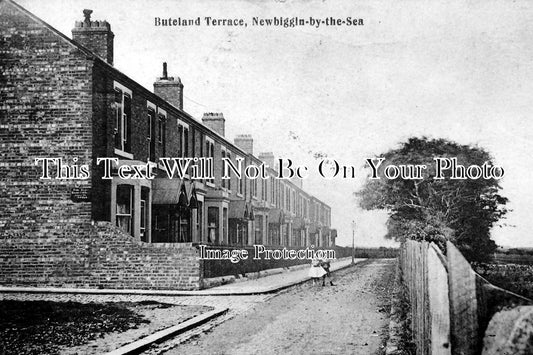 NO 514 - Buteland Terrace, Newbiggin-By-The-Sea, Northumberland c1908