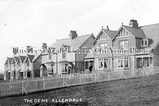 NO 516 - The Dene, Allendale, Northumberland c1911