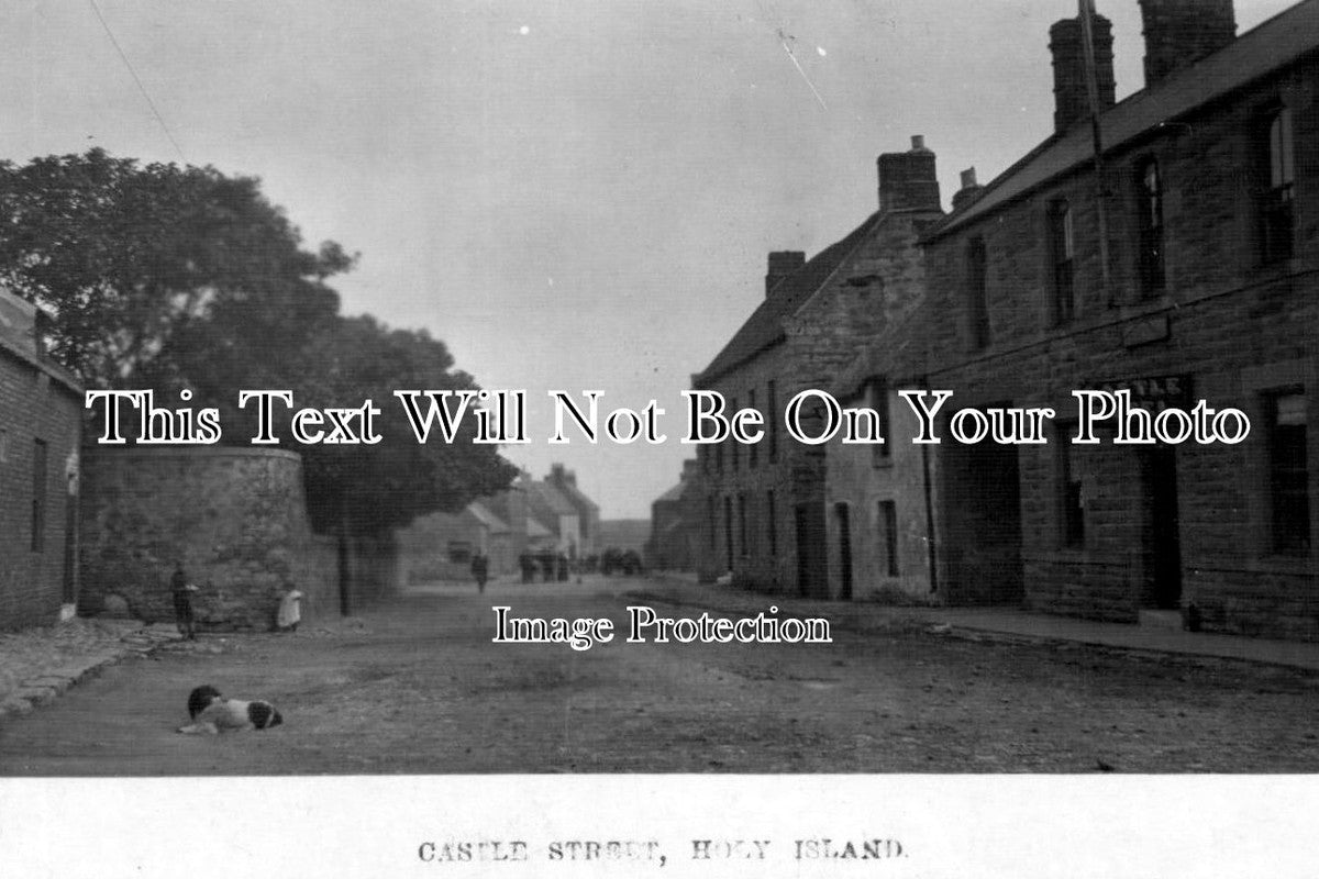 NO 537 - Castle Street, Holy Island, Northumberland