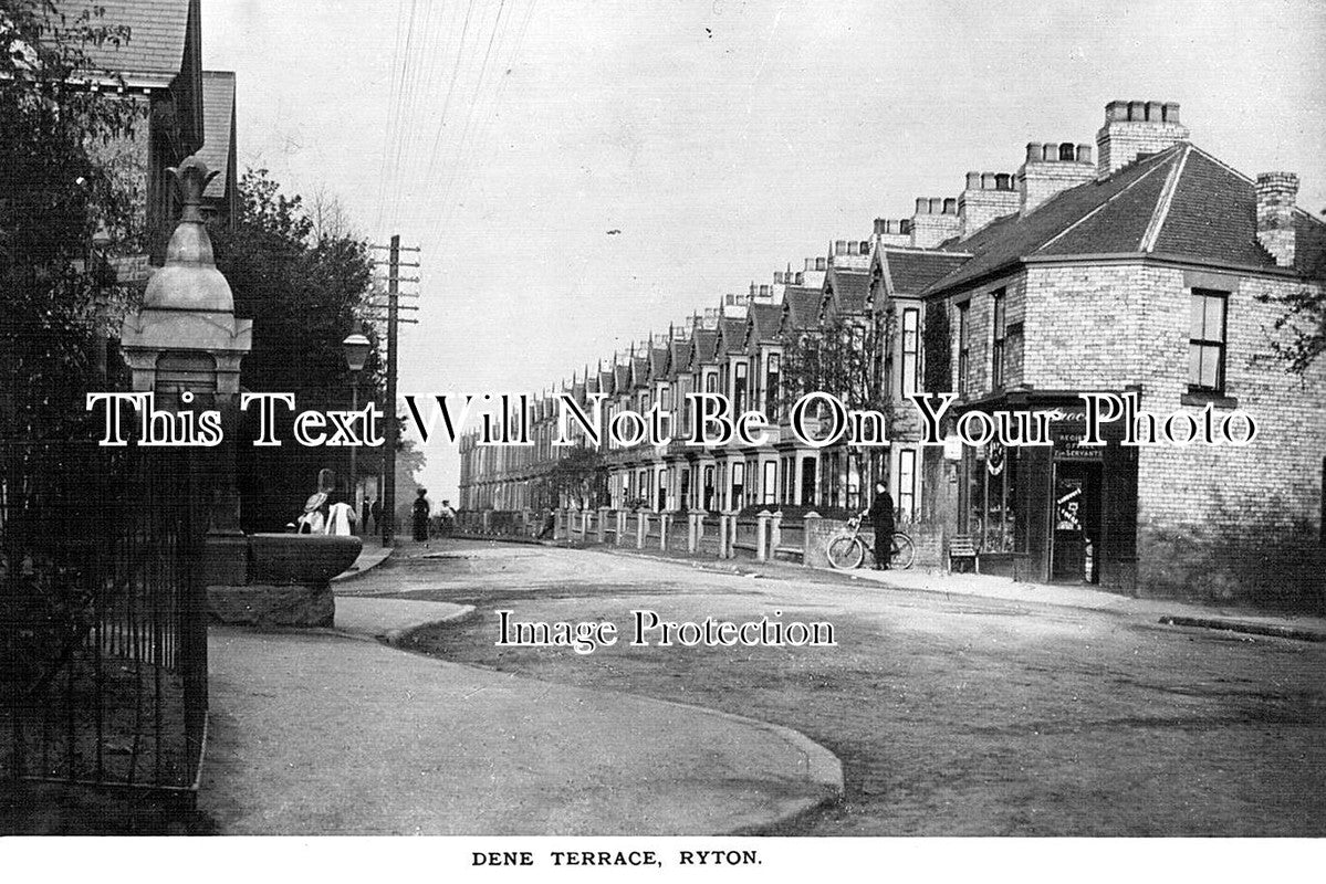 NO 619 - Dene Terrace, Ryton, Tyne & Wear, Northumberland