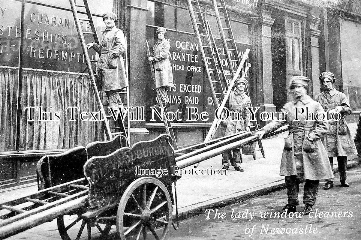 NO 702 - Lady Window Cleaners, Newcastle, Northumberland