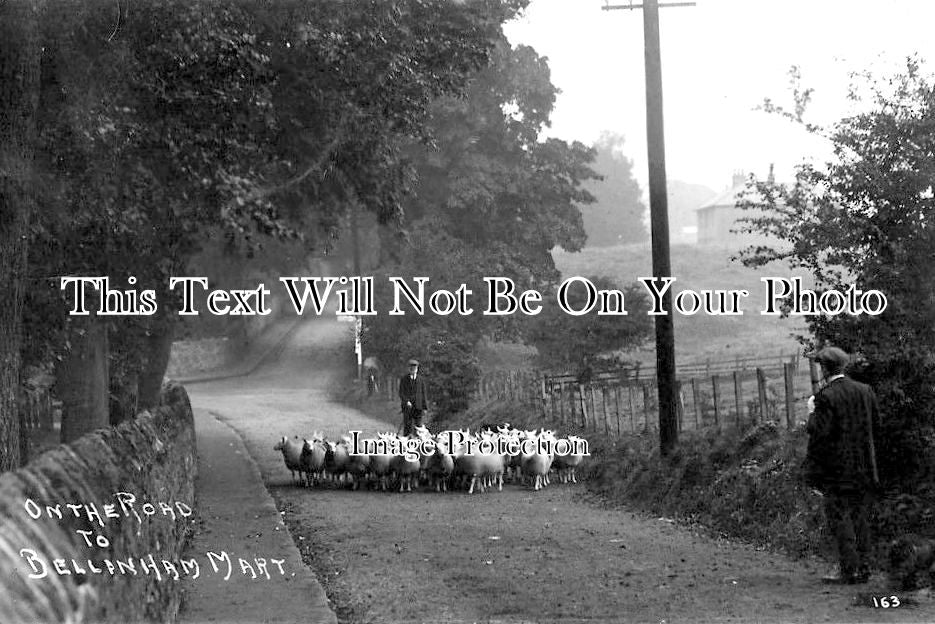 NO 777 - On The Road To Bellingham Mart, Northumberland