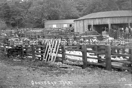 NO 817 - Scots Gap Farmers Auction Mart, Morpeth, Northumberland