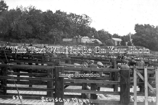 NO 844 - Scots Gap Farmers Auction Mart, Morpeth, Northumberland c1926