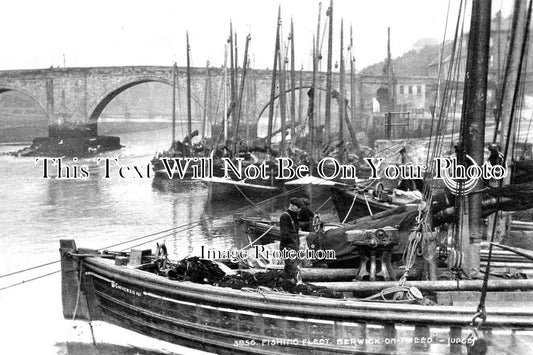 NO 857 - Fishing Fleet, Berwick On Tweed, Northumberland