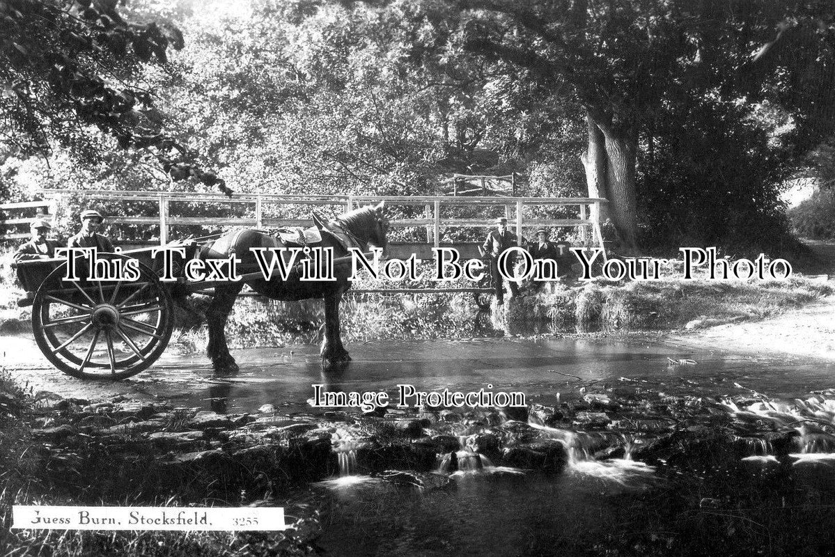 NO 958 - Guess Burn, Stocksfield, Hexham, Northumberland c1927