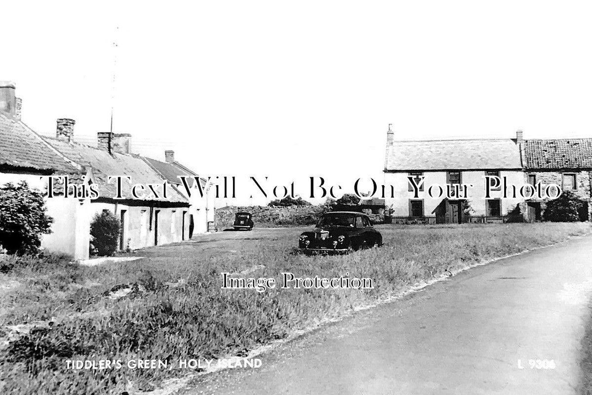 NO 982 - Tiddlers Green, Holy Island, Northumberland