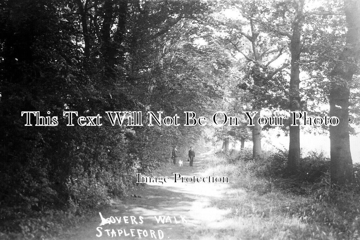 NT 1404 - Lovers Walk, Stapleford, Nottinghamshire c1905