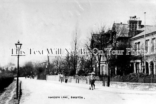 NT 25 - Dovecote Lane, Beeston, Nottinghamshire c1907