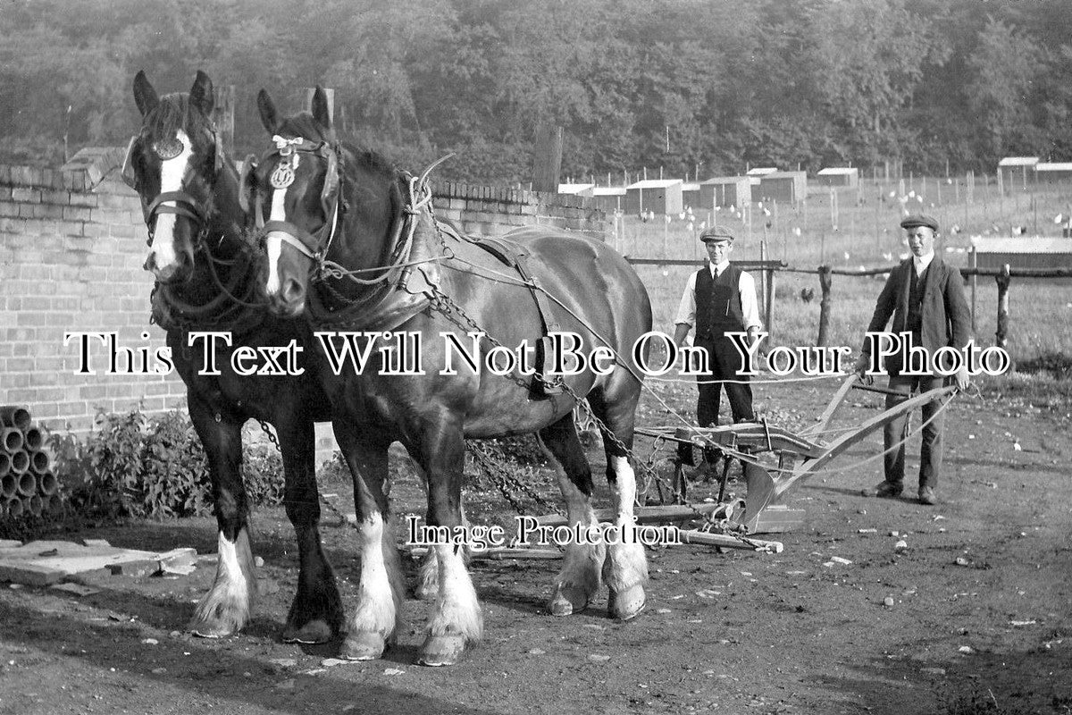 NT 520 - Farming, Flintham, Nottinghamshire c1918