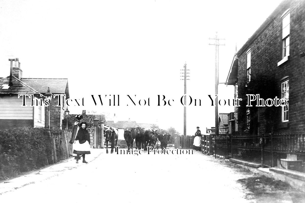 NT 993 - Railway Crossing, Cottam, Nottinghamshire c1908