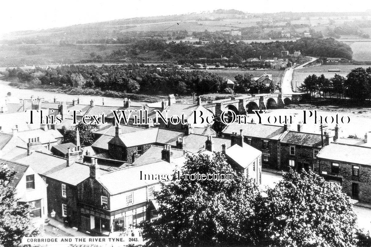 No 1816 - Corbridge & The River Tyne, Northumberland