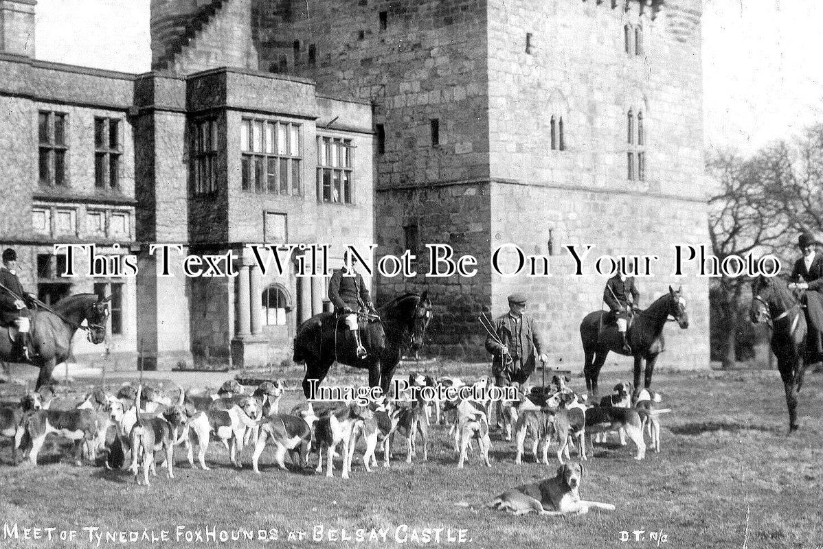 No 2008 - Meet Of Tynedale Foxhounds At Belsay Castle, Hexham c1909