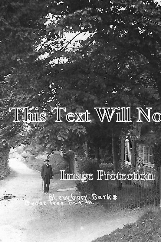 OX 115 - Great Tree Farm, Blewbury, Oxfordshire c1913