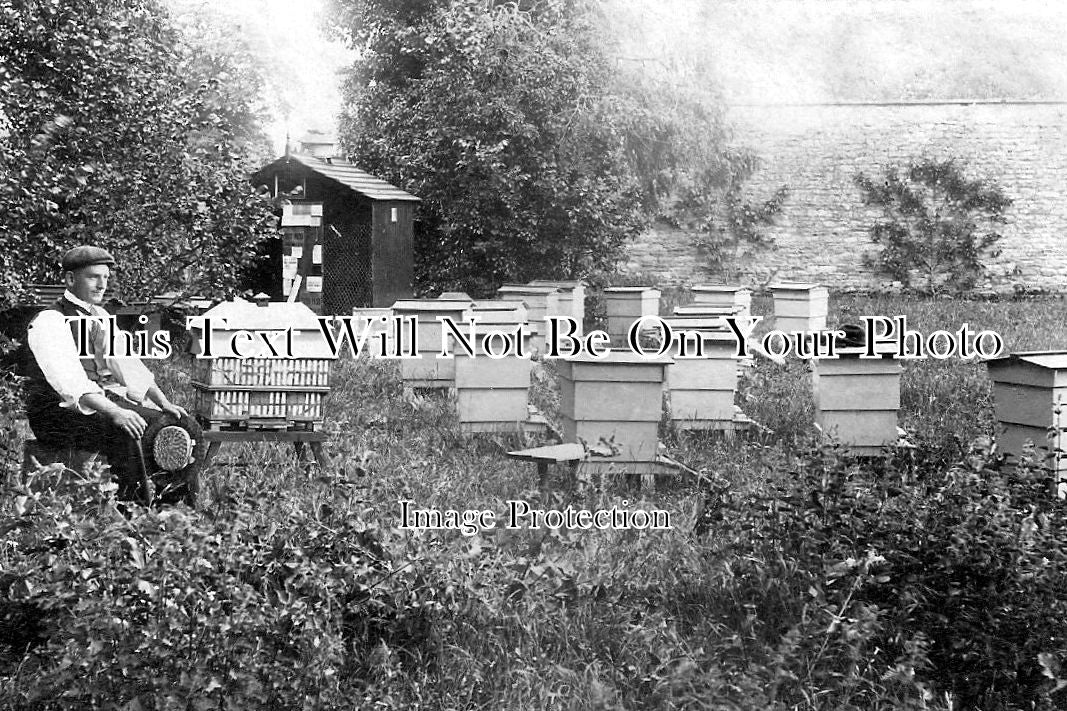 OX 142 - Apiary. Beekeeper, Bicester, Oxfordshire c1904