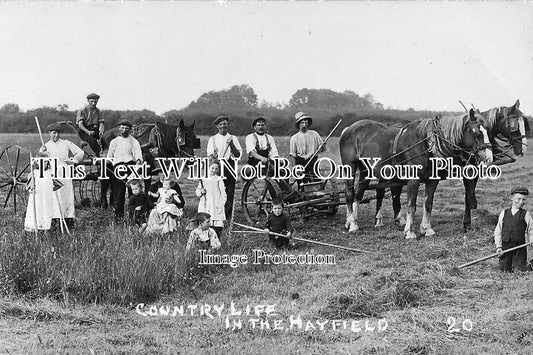 OX 159 - Country Life, In The Hay Field, Oxfordshire